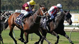 Top of the Range (NZ) flashed through the inside to score in the G3 Bendigo Cup. Photo: AAP.